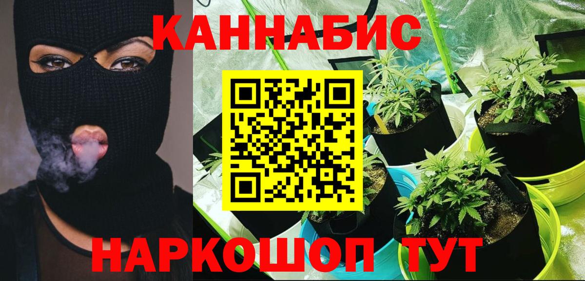 Каннабис VHQ  Бошки Шишки SATIVA & INDICA  Конопля Amnesia  Вход с VPN  Кунгур 
